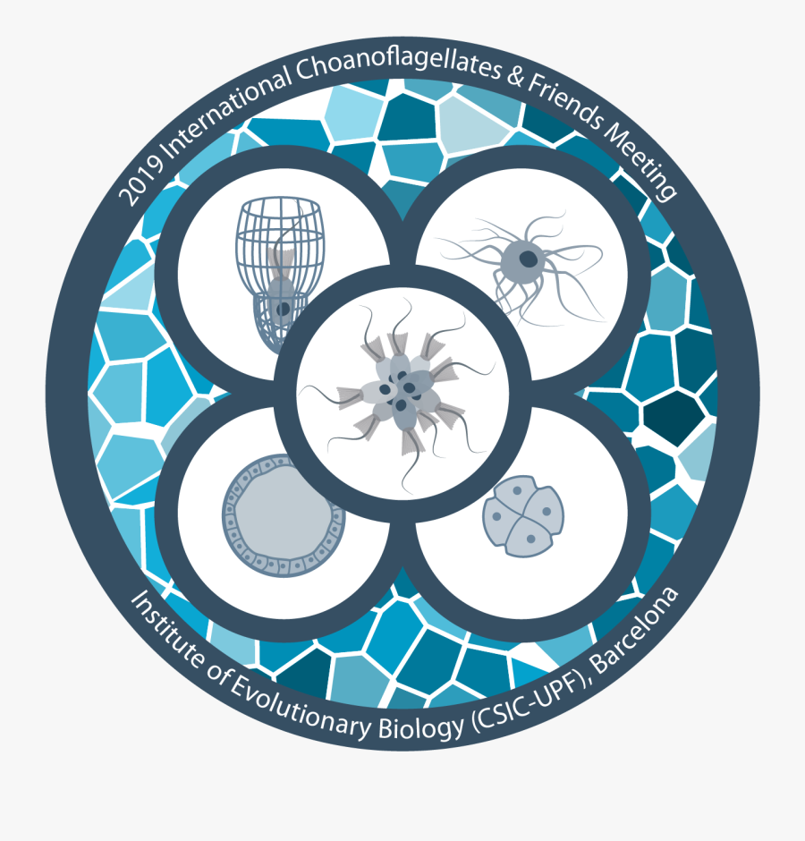 7th Choanoflagellates & Friends Meeting - Circle, Transparent Clipart