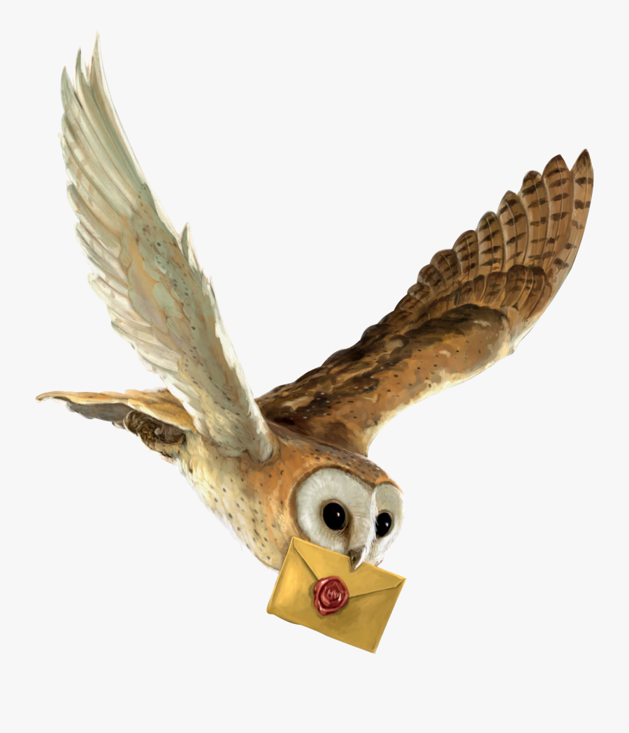 hedwig animated owl