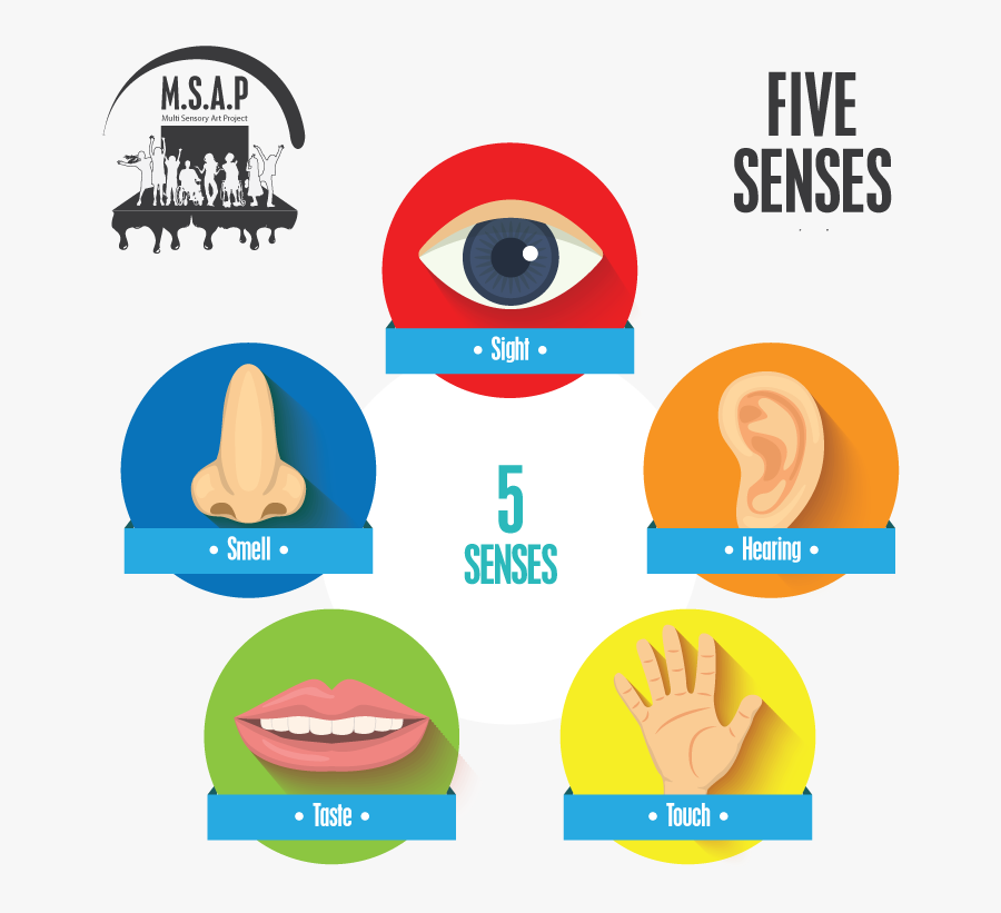 Senses2, Transparent Clipart