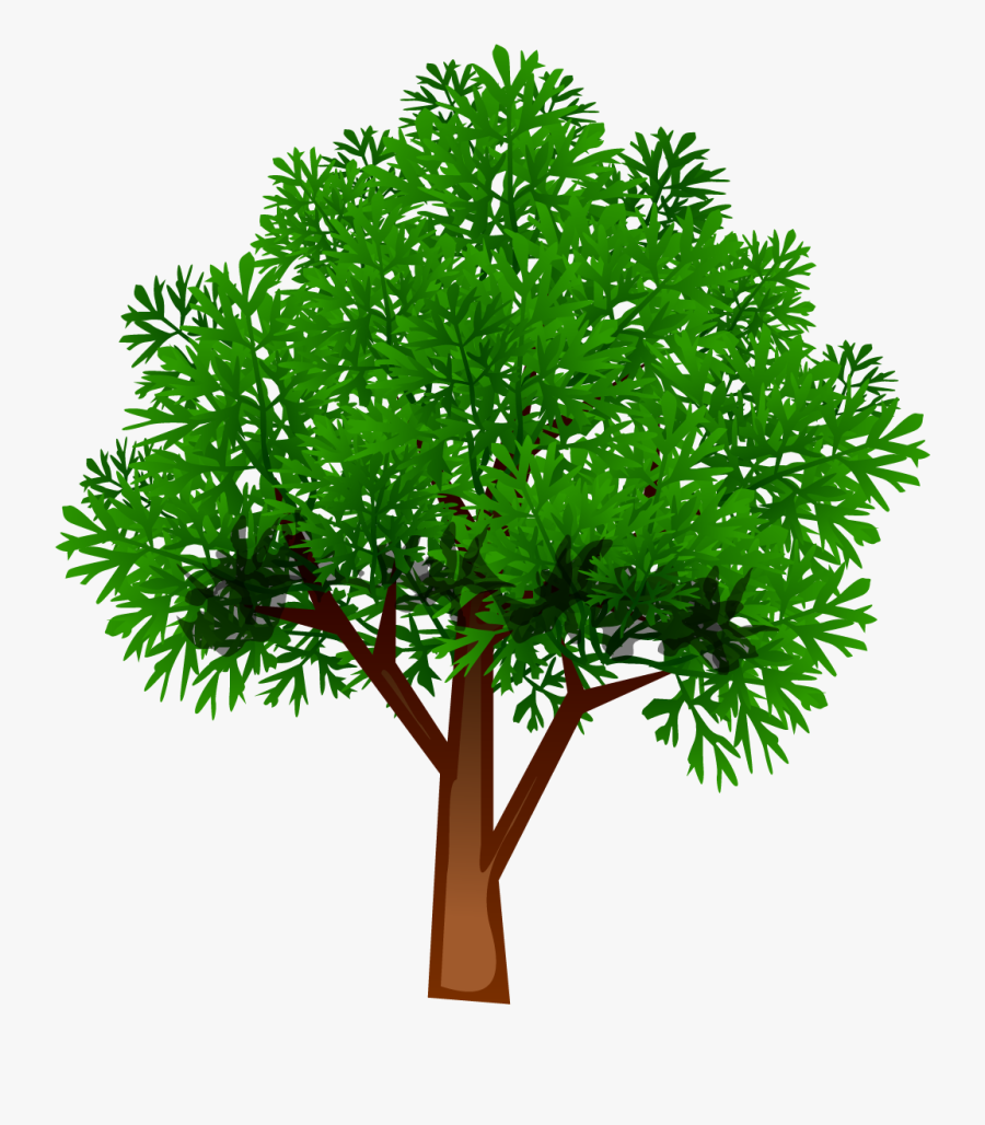 Delcid Erosion Control - Tree Png, Transparent Clipart