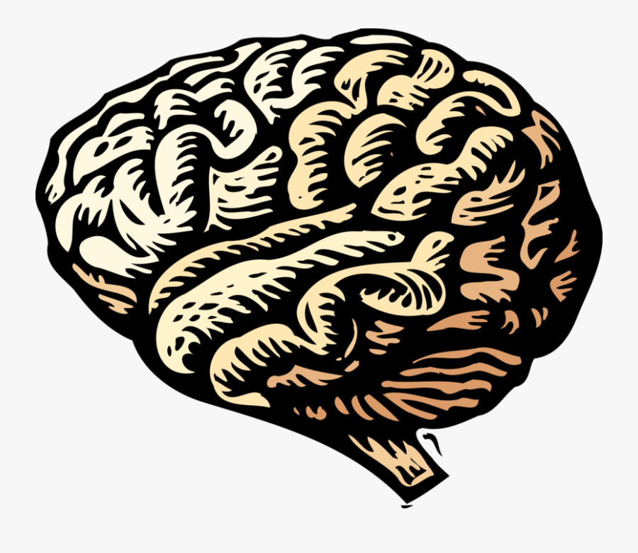 Vector Illustration Of Human Brain Organ Serves As - Bad Brain, Transparent Clipart