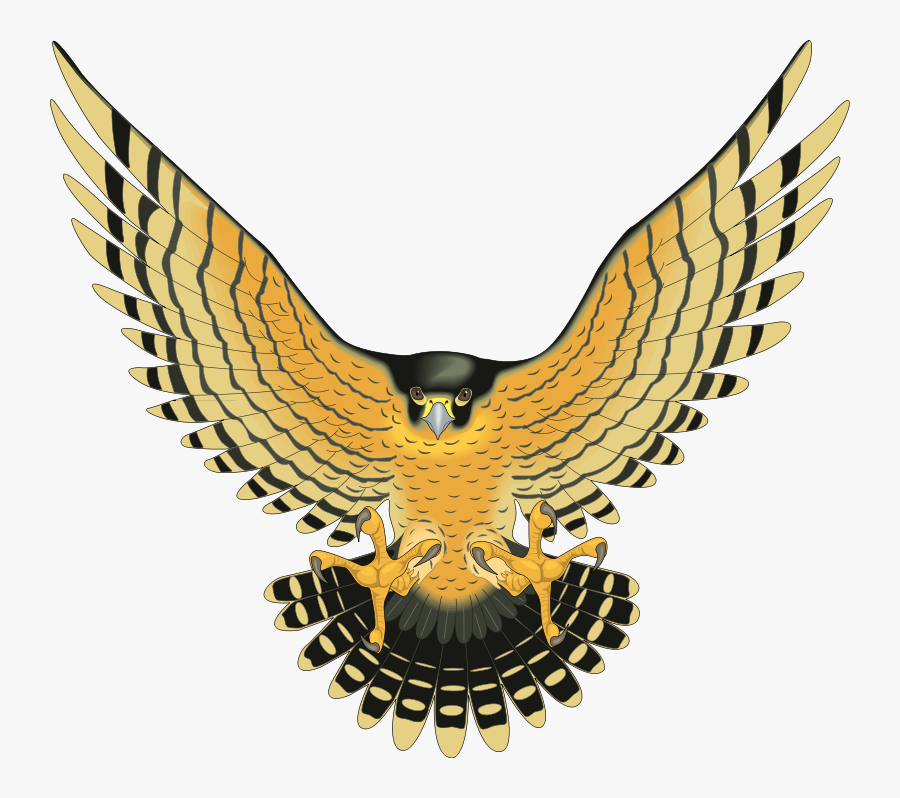 Falcon Clipart Cute - Yellow Birds Of Prey, Transparent Clipart