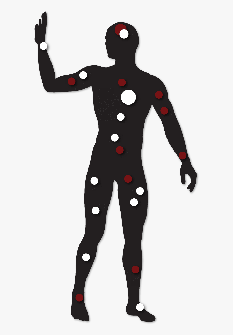Person With Markings Of Endocannabinoid Receptors In, Transparent Clipart