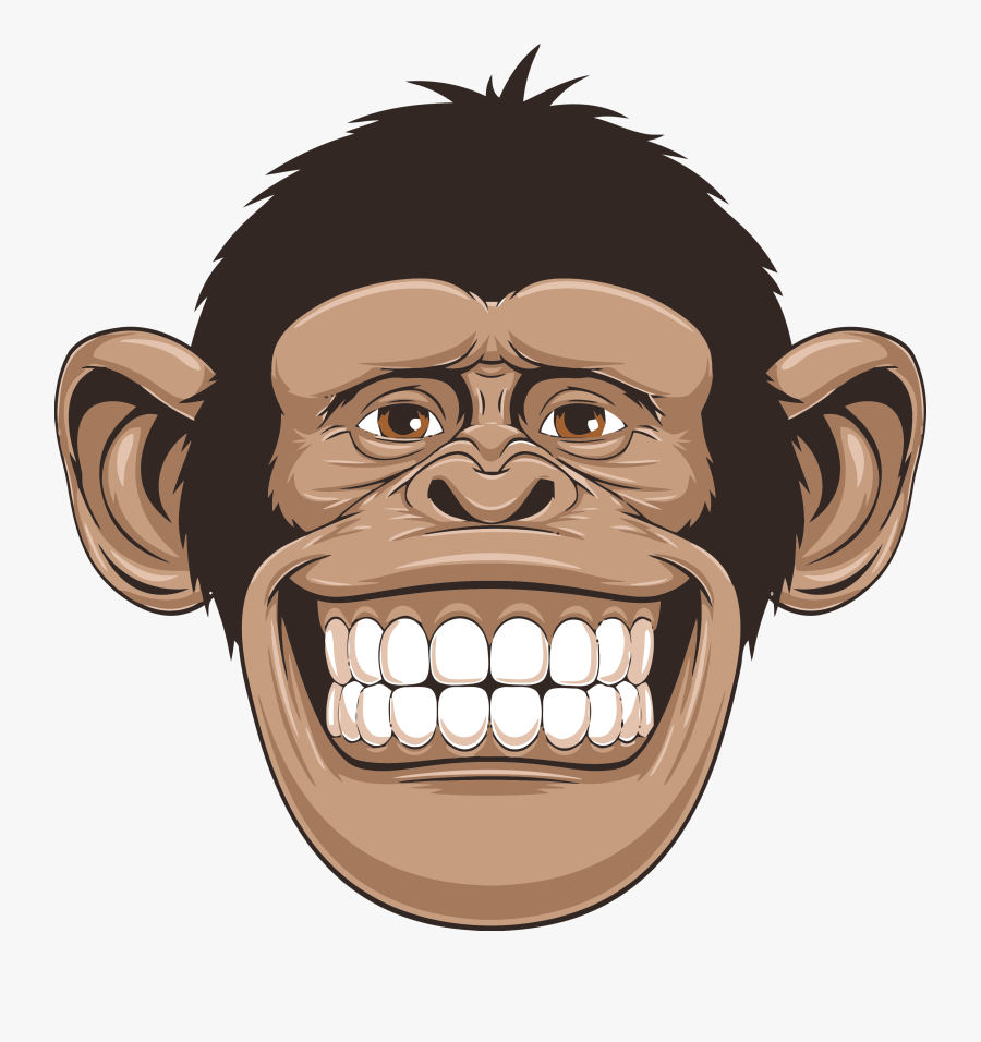 Chimp Drawing Monkey - Monkey Head Png, Transparent Clipart