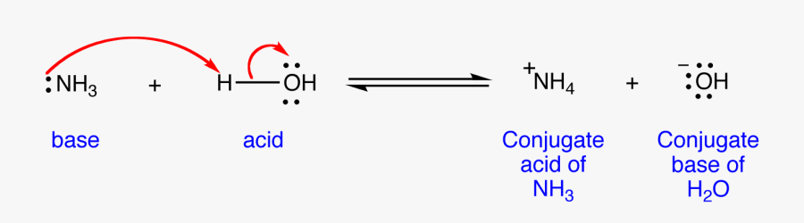 Bronsted Lowry Theory Of Acid And Base , Transparent - Bronsted Lowry ...