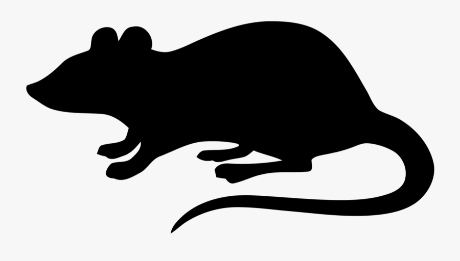 Mouse, Transparent Clipart