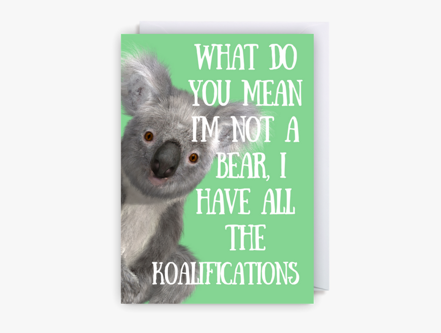 Clip Art Funny Koala Pictures - Koala, Transparent Clipart