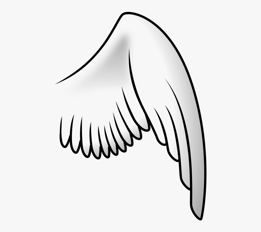 Transparent Asas De Anjo Png - Wing Clipart, Transparent Clipart