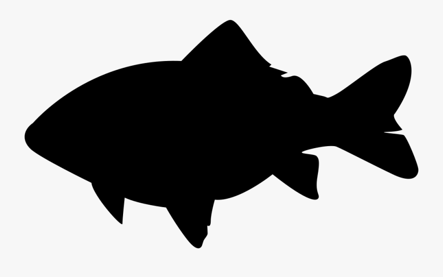 Crucian Carp Svg Png Icon Free Download - Crucian Carp Icon, Transparent Clipart