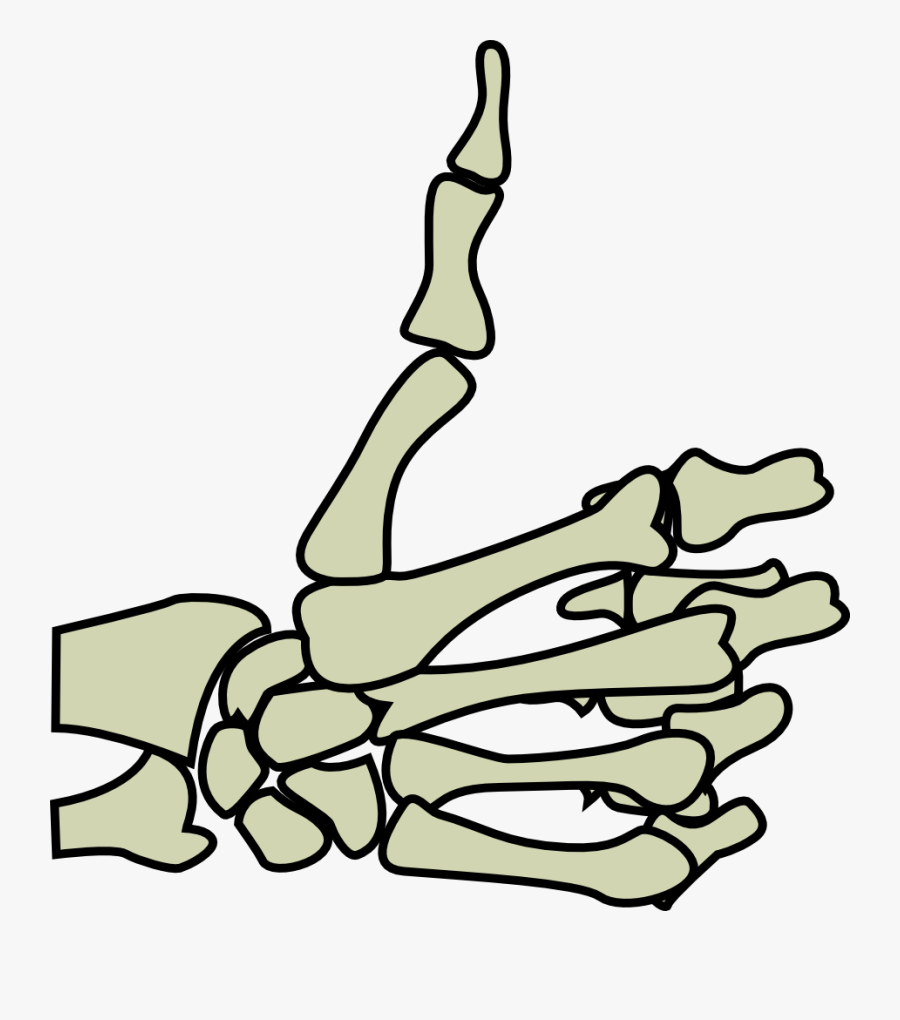 You Need To Login To View This Link Hopefully This - Skeleton Thumbs Up Transparent, Transparent Clipart
