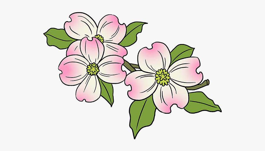 Simple Dogwood Flower Drawing , Free Transparent Clipart - ClipartKey