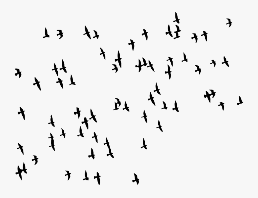 Flock Of Birds Png - Bird Flock Png, Transparent Clipart
