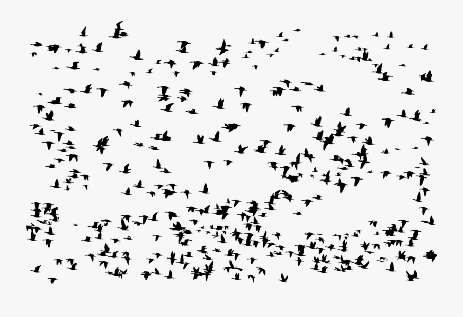 Migrating Geese Silhouette - Group Of Birds Transparent, Transparent Clipart