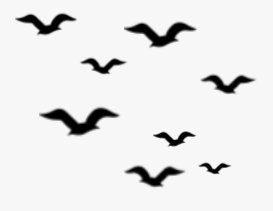 #ftestickers #birds #silhouette #flock #bird #animal - Flock, Transparent Clipart