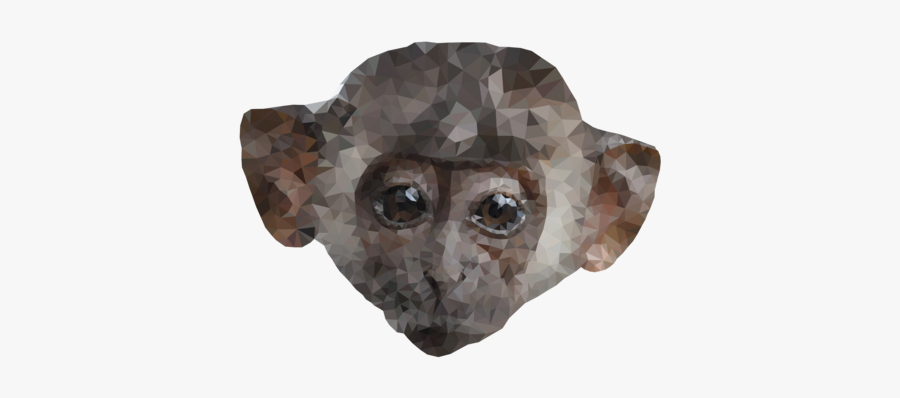 Ape Clipart Monky - Cheetah, Transparent Clipart