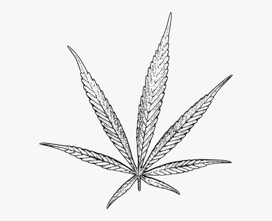 Drawn Cannabis Stoned - Weed Leaf Drawing Png, Transparent Clipart