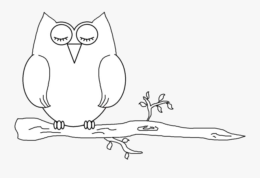 White Owl Black Background Cartoon, Transparent Clipart