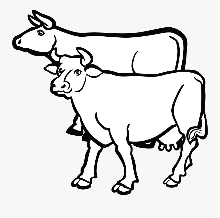 Holstein Friesian Cattle Beef Cattle British White - Pair Of Cows Clipart, Transparent Clipart