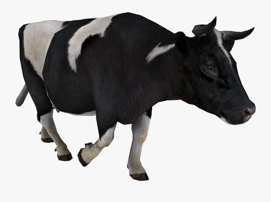 Cow Png - Black Cow Png, Transparent Clipart