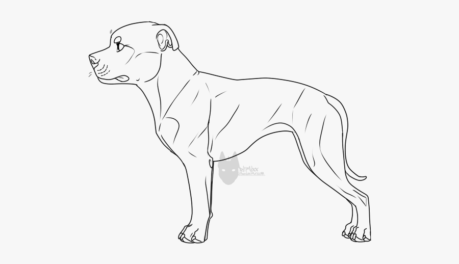 Drawn Pit Bull Staffy - Draw A Staffordshire Bull Terrier, Transparent Clipart