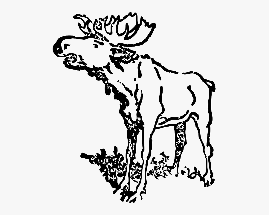 Loud, Moose, Animal, Antlers, Head, Cartoon - Black And White Moose Clip Art Realistic, Transparent Clipart