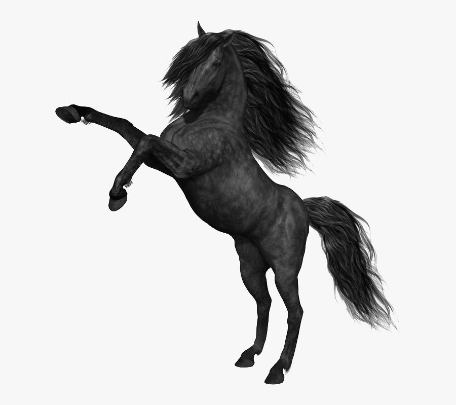 Mustang Horse Png Photos - Black Horse Png, Transparent Clipart