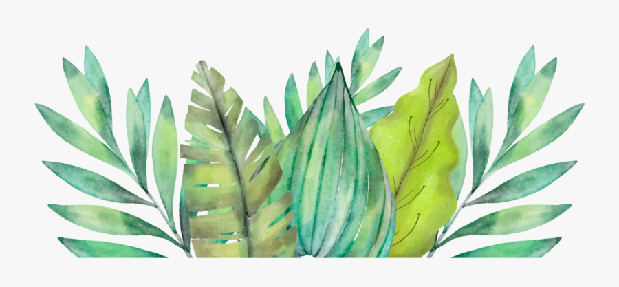 Leaf Amazon Rainforest Watercolor Painting Arecaceae - Cactus Invitation Template Free, Transparent Clipart