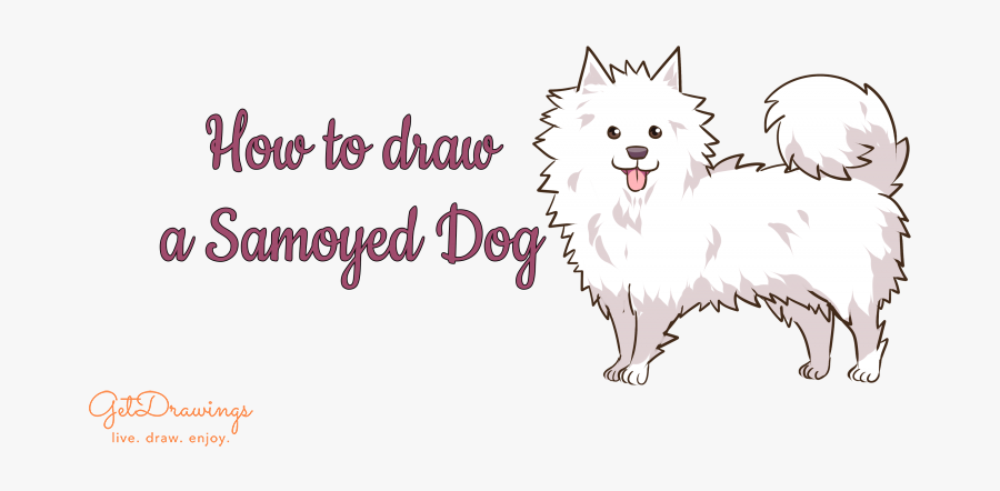 How To Draw A Samoyed Dog - German Spitz Mittel, Transparent Clipart