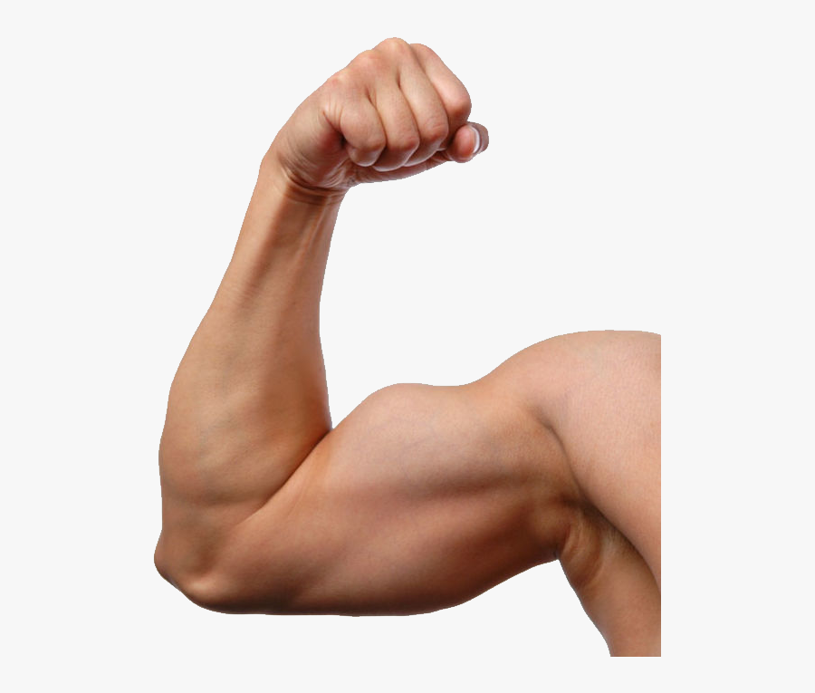 Png Image Purepng Free Cc Library Man Arm- - Transparent Background Muscle Arms Transparent, Transparent Clipart