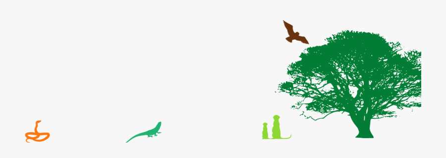 Footer-graphics - Oak Tree Silhouette Png, Transparent Clipart