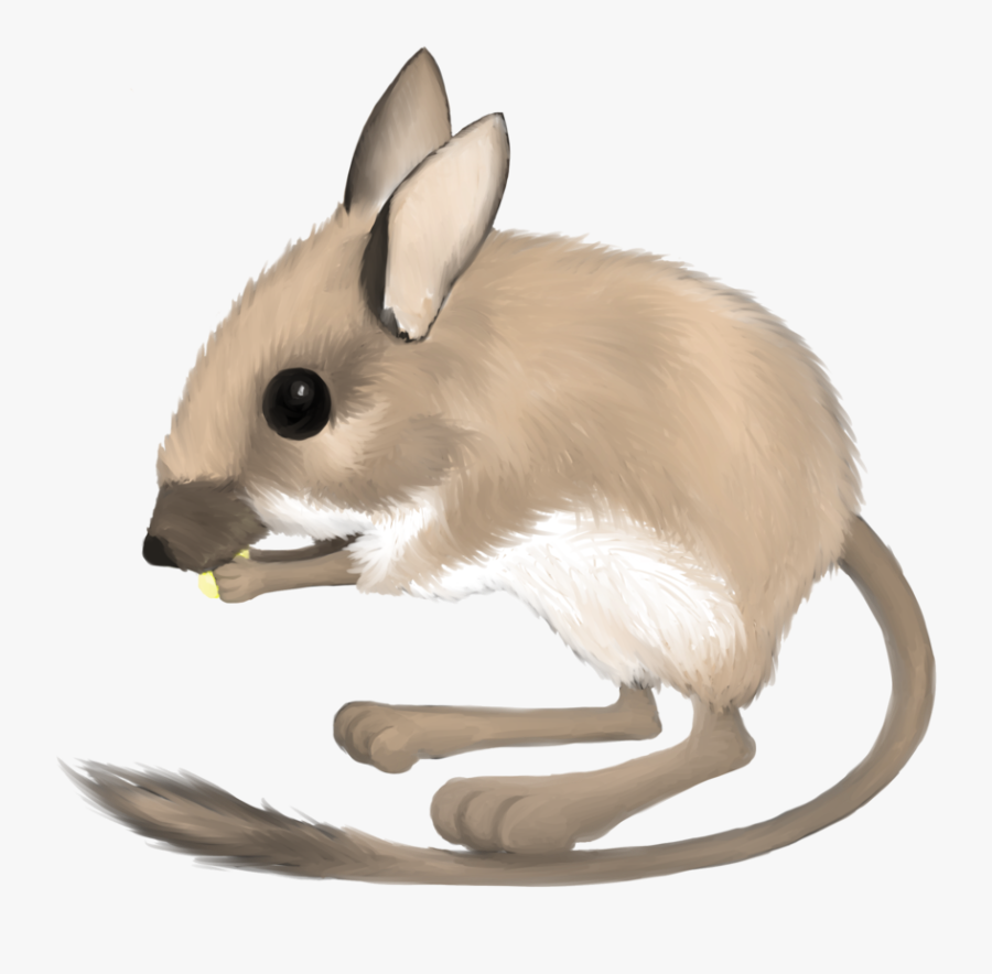 Transparent Rat Clipart Png - Mouse , Free Transparent Clipart - ClipartKey