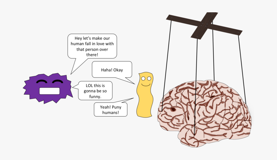 Gut Brain Axis Cartoon, Transparent Clipart