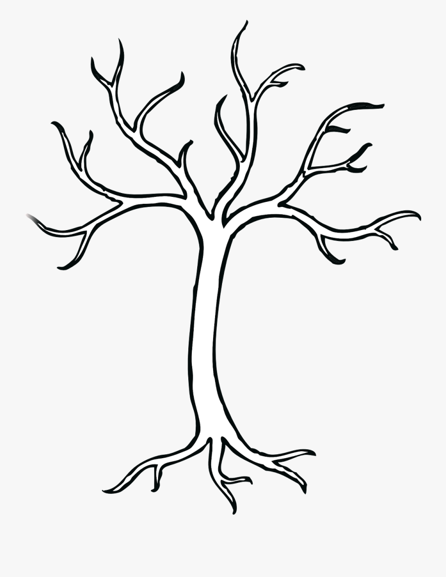 Tree With 5 Branches, Transparent Clipart