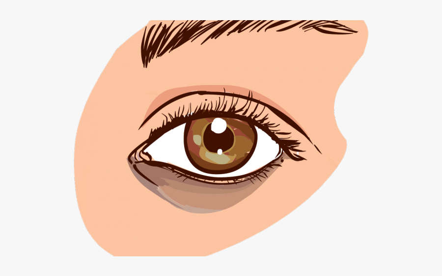 Brown Eyes Clipart Two Eye - Dark Circles Under Eyes Causes, Transparent Clipart
