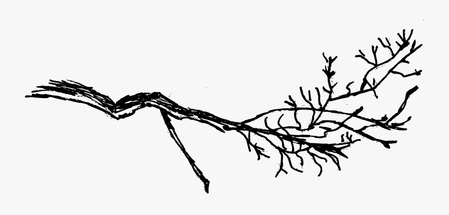 Transparent Tree Branch, Transparent Clipart