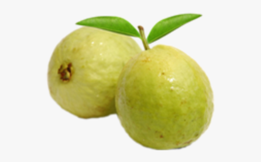 Guava .png, Transparent Clipart