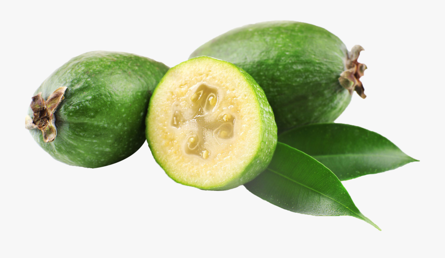 Clip Art Guaba Fruit - Feijoa Png, Transparent Clipart