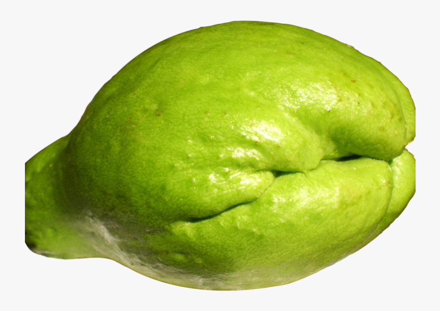 Chayote Png, Transparent Clipart