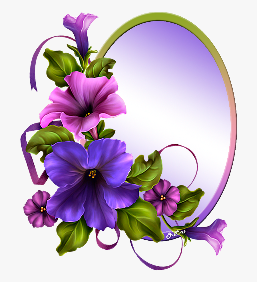Morning Glory Flower Design, Transparent Clipart