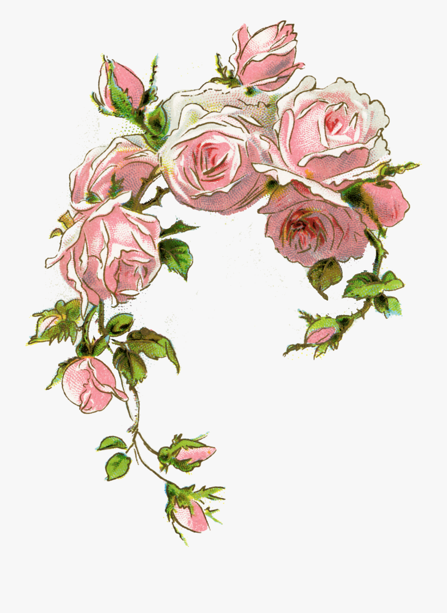 Vintage Rose Clipart, Transparent Clipart