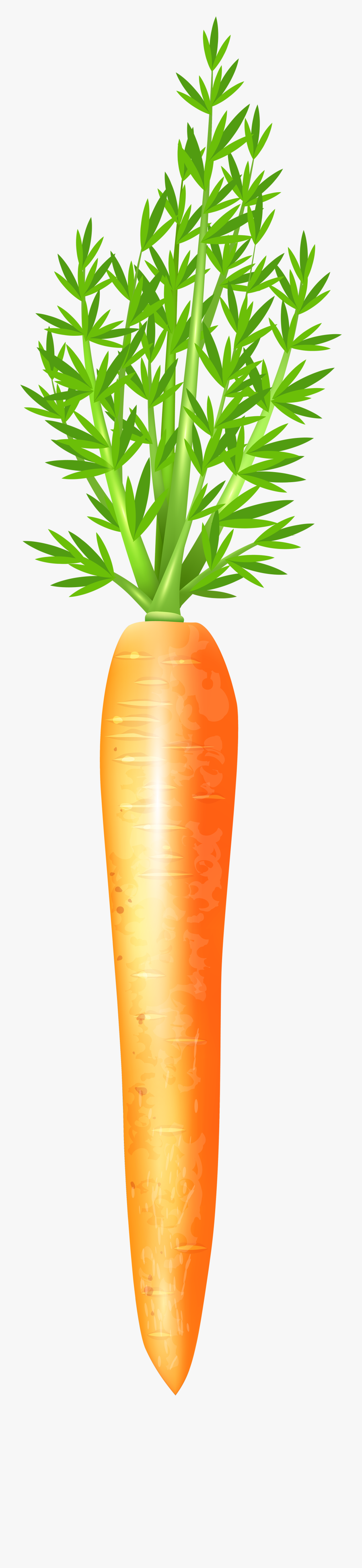 Carrots Clipart Png - Free Carrot Png, Transparent Clipart