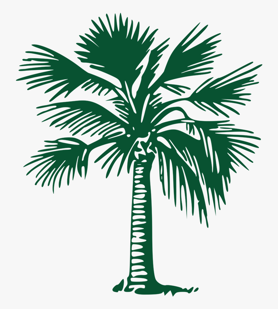 Palm Trees, Transparent Clipart