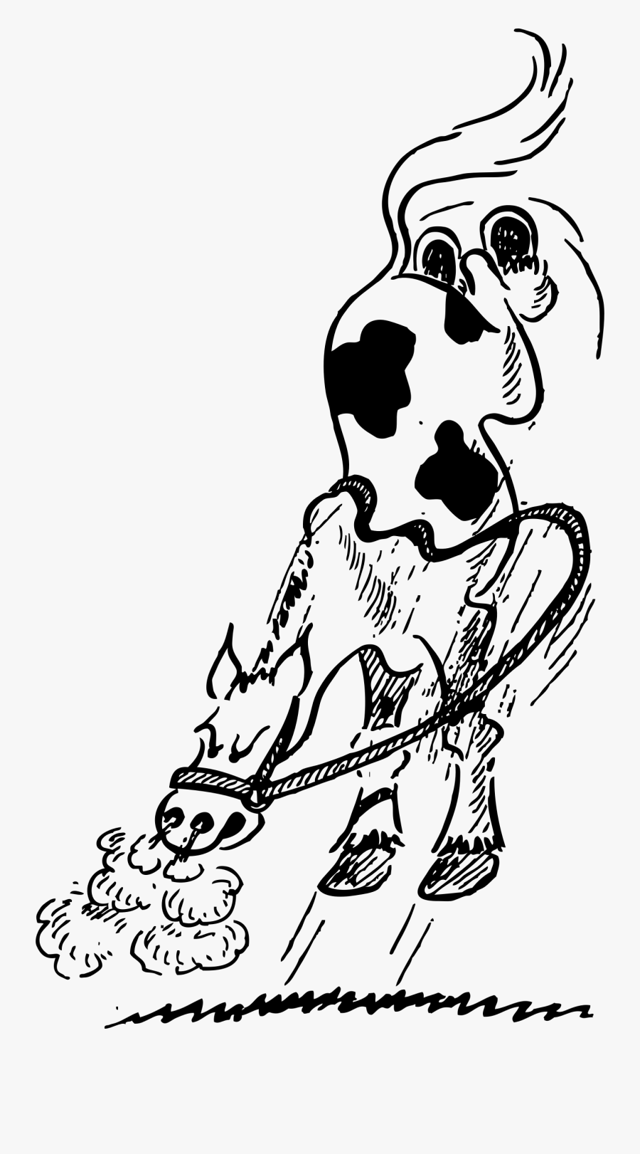 Bucking Horse Clip Arts - Bucking Horse Clip Art Animated Gif, Transparent Clipart