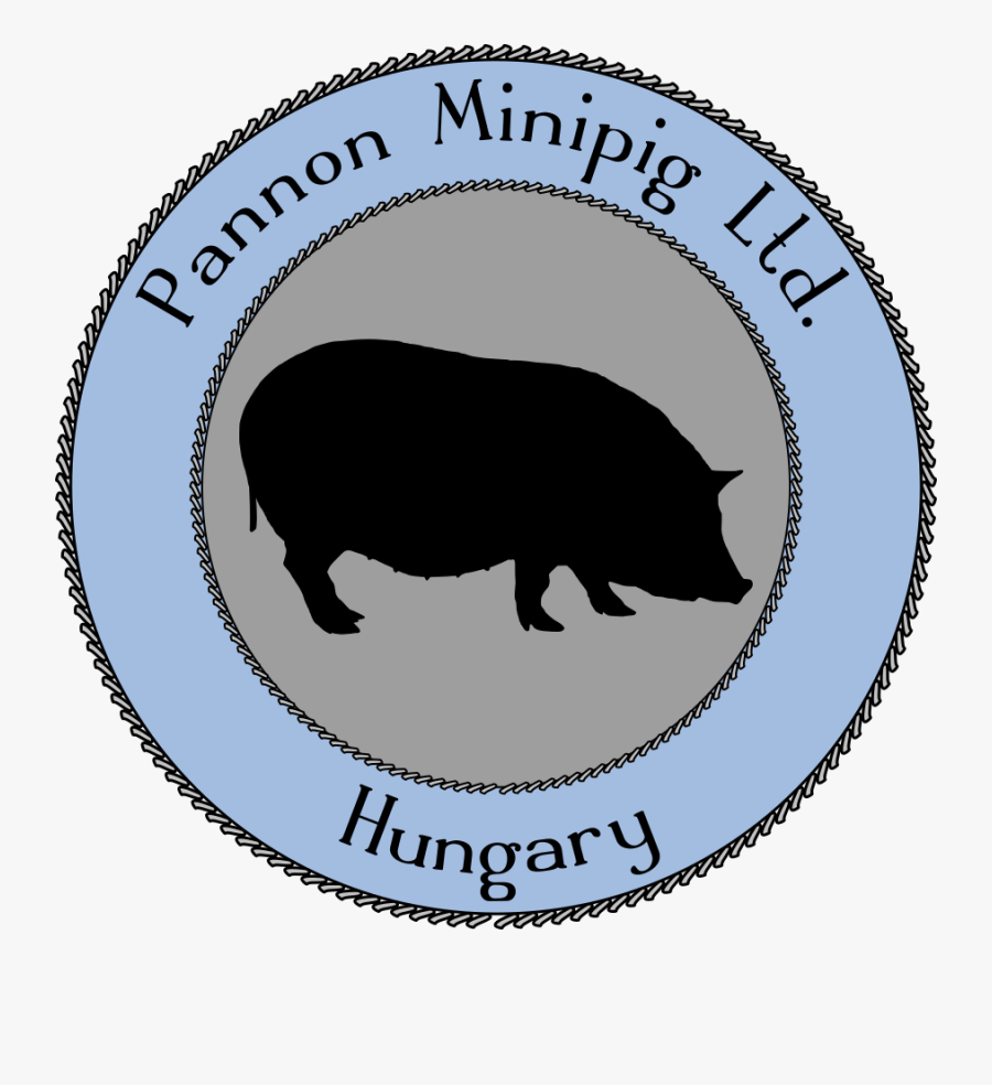 Necklace Clipart , Png Download - Domestic Pig , Free Transparent ...