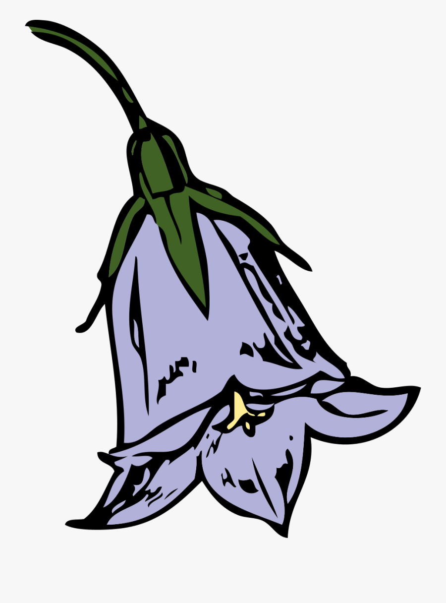 Harebell - Clipart Bluebell, Transparent Clipart