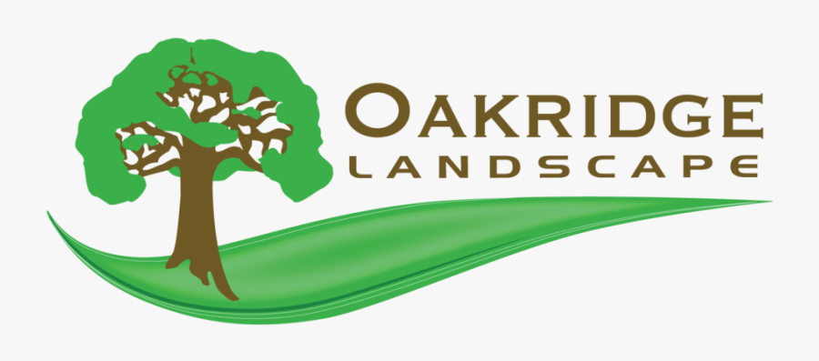Oakridge Logo W Graphic Color Logo - Tree, Transparent Clipart