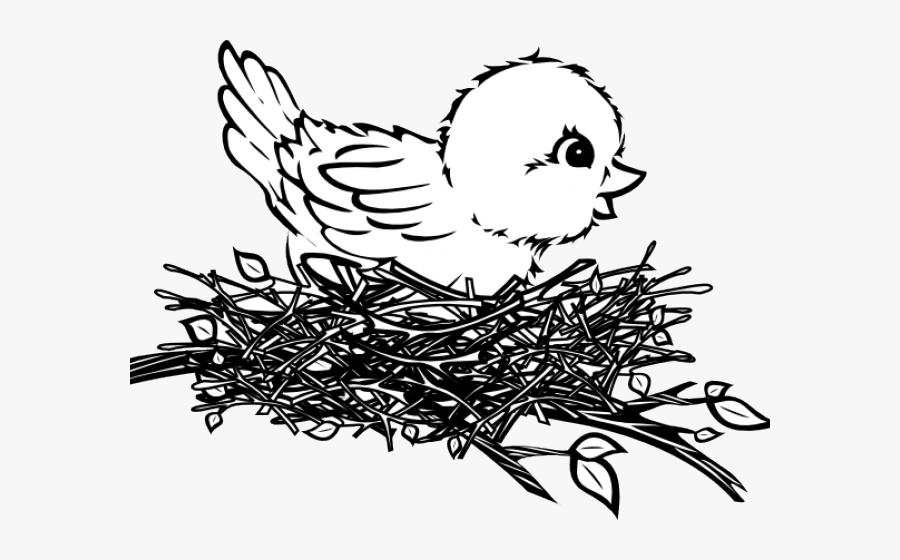 Bird Nest Drawing Easy , Free Transparent Clipart - ClipartKey