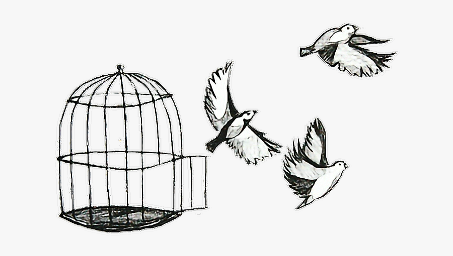 #birds #freedom #drawing - Birds Flying From Cage , Free Transparent