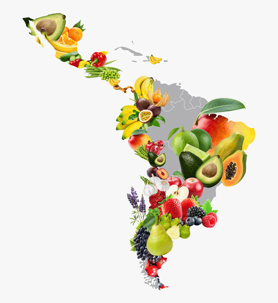 Mapa De Honduras Con Frutas, Transparent Clipart