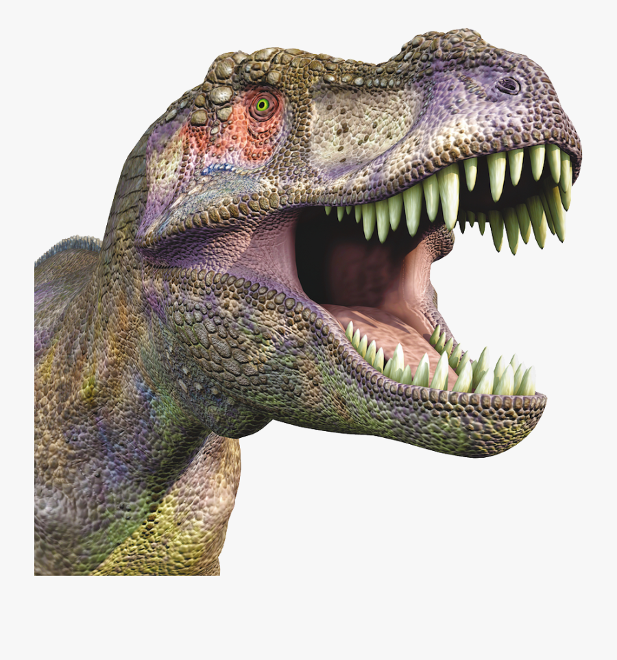 Dinosaur Head Transparent Background, Transparent Clipart